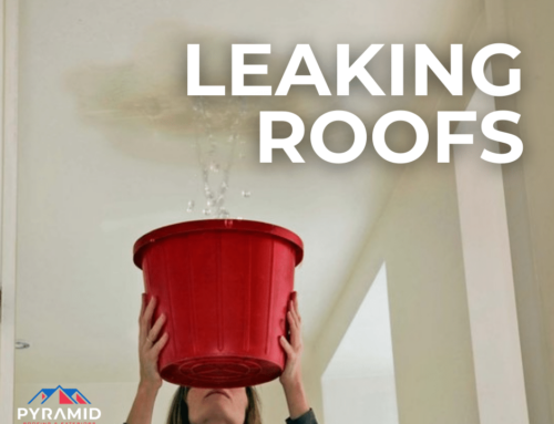 What to Do When Your Roof Starts Leaking