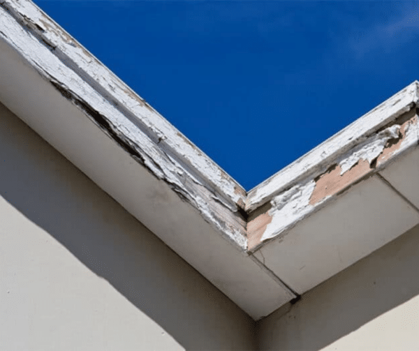 Damaged Roof Edge